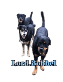 Lord.Bobbel